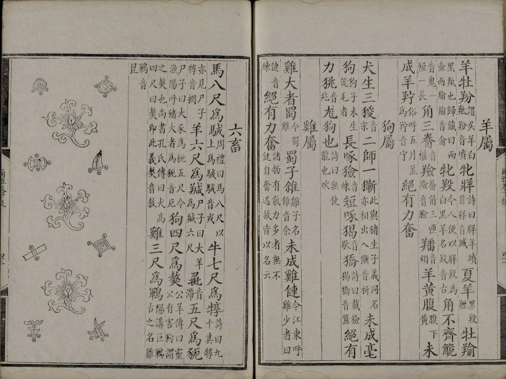 图片[2]-尔雅音图-天天向上