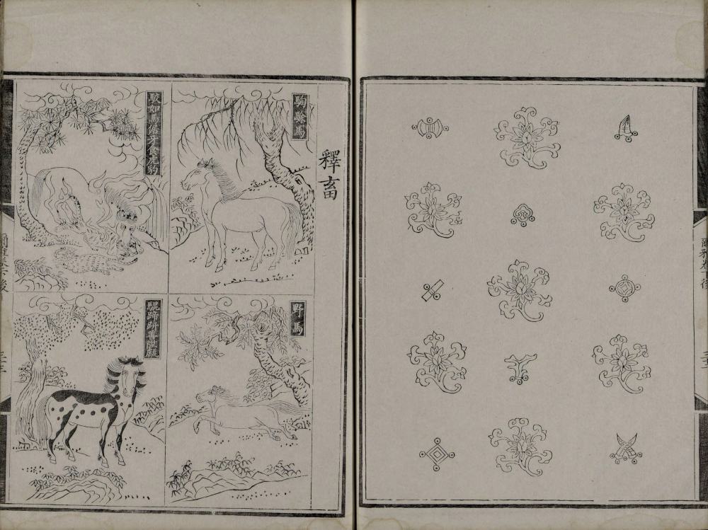 图片[3]-尔雅音图-天天向上