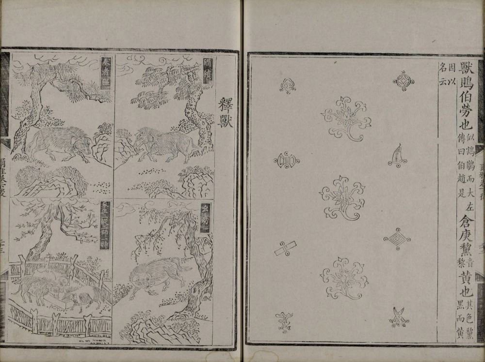 图片[4]-尔雅音图-天天向上