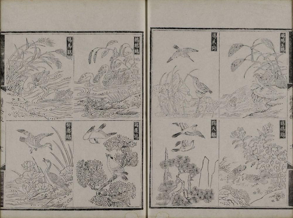 图片[5]-尔雅音图-天天向上