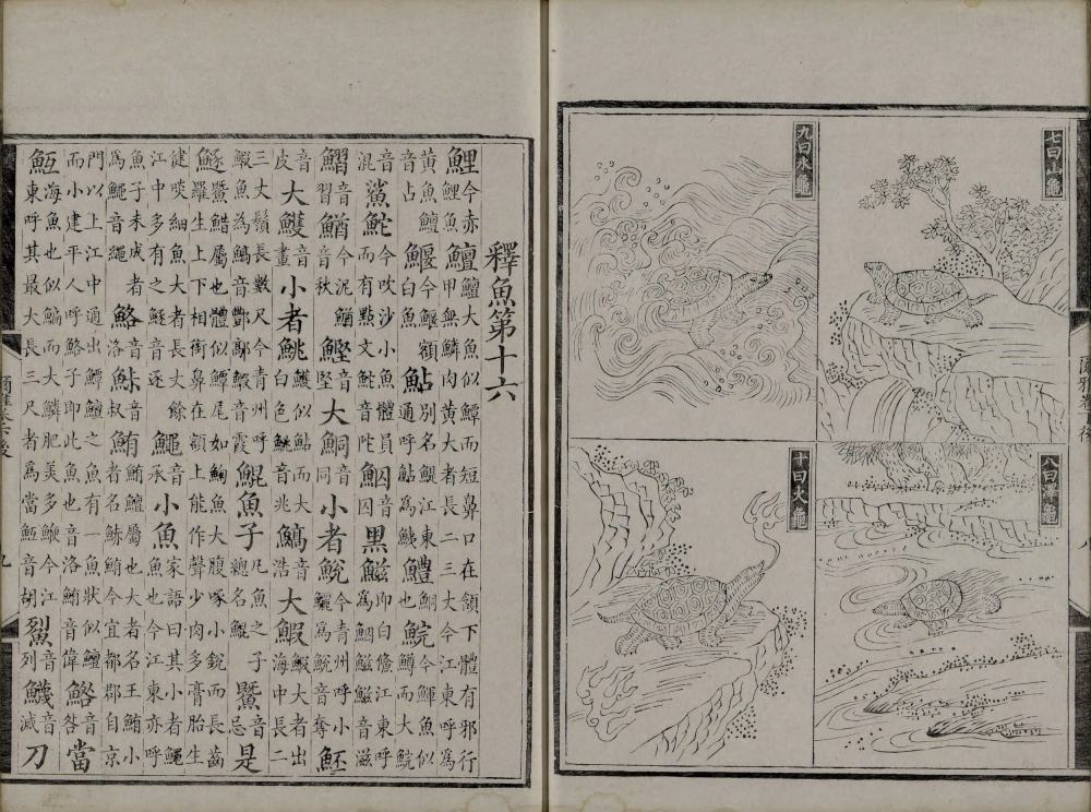 图片[6]-尔雅音图-天天向上