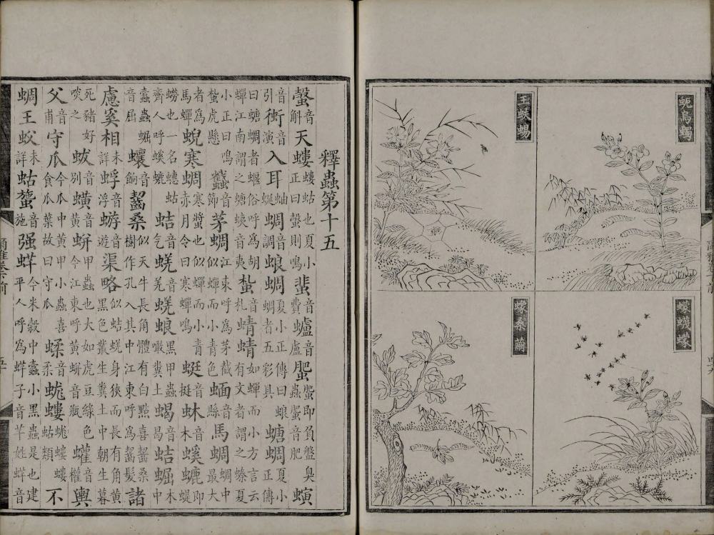 图片[7]-尔雅音图-天天向上