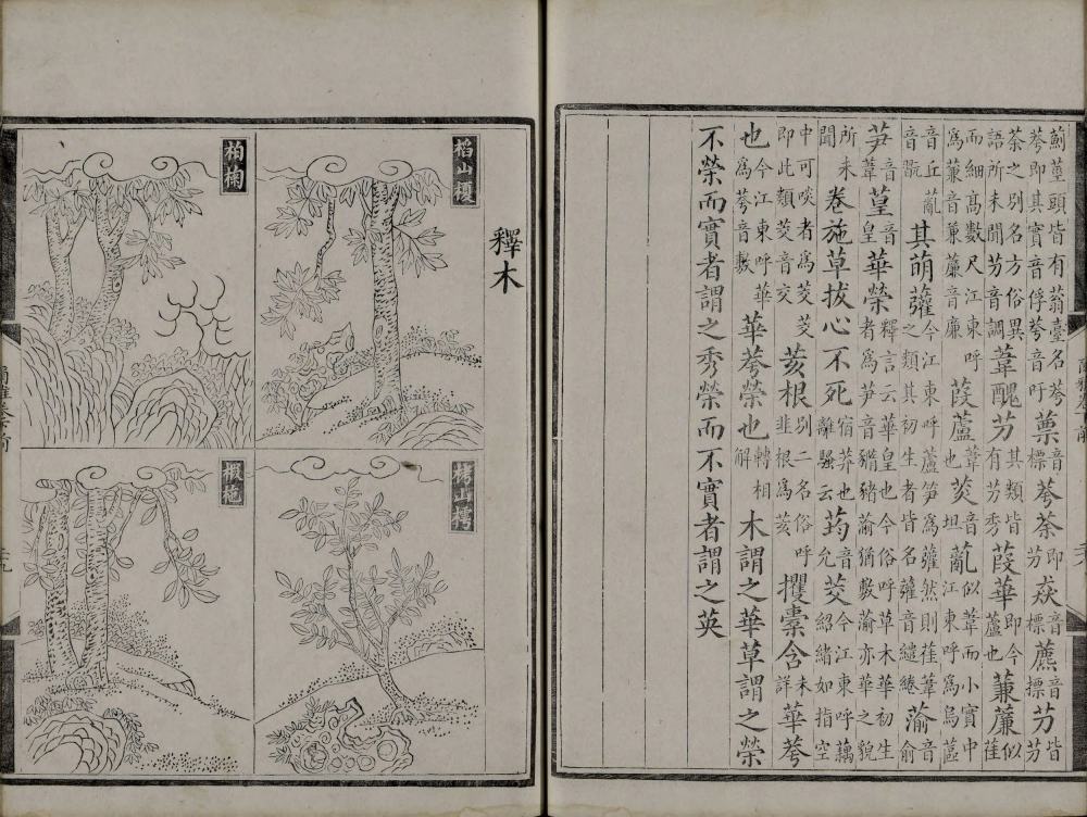 图片[8]-尔雅音图-天天向上