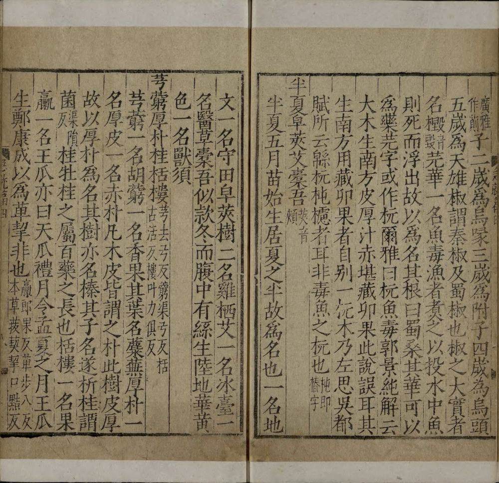 图片[3]-急就篇（明嘉靖时期刊本）-天天向上