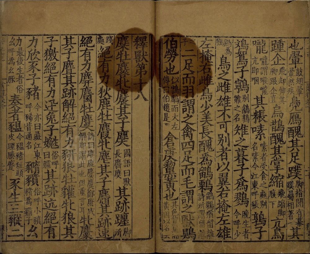 图片[2]-尔雅-天天向上