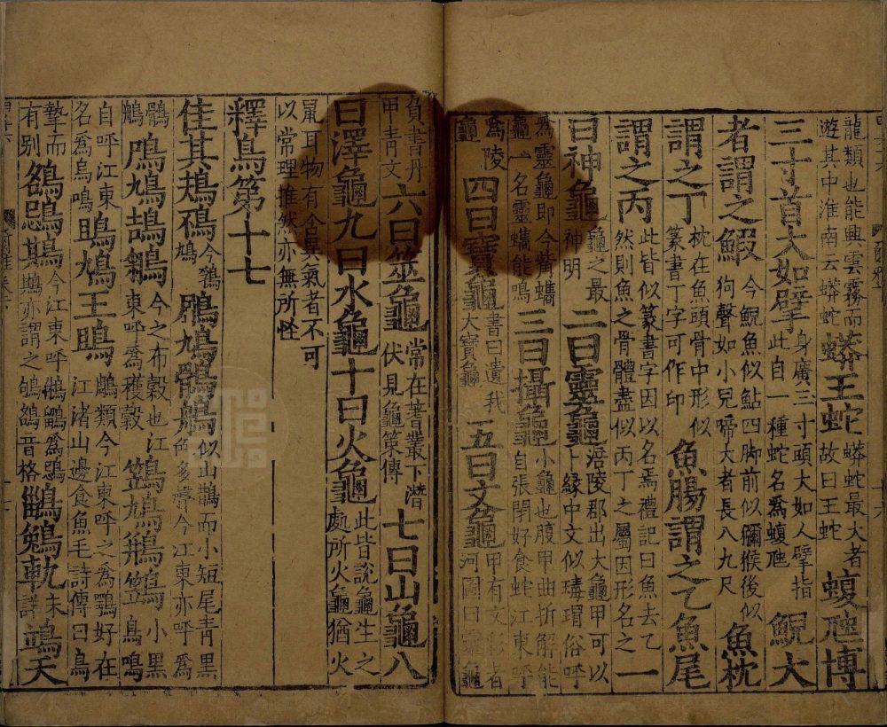 图片[3]-尔雅-天天向上