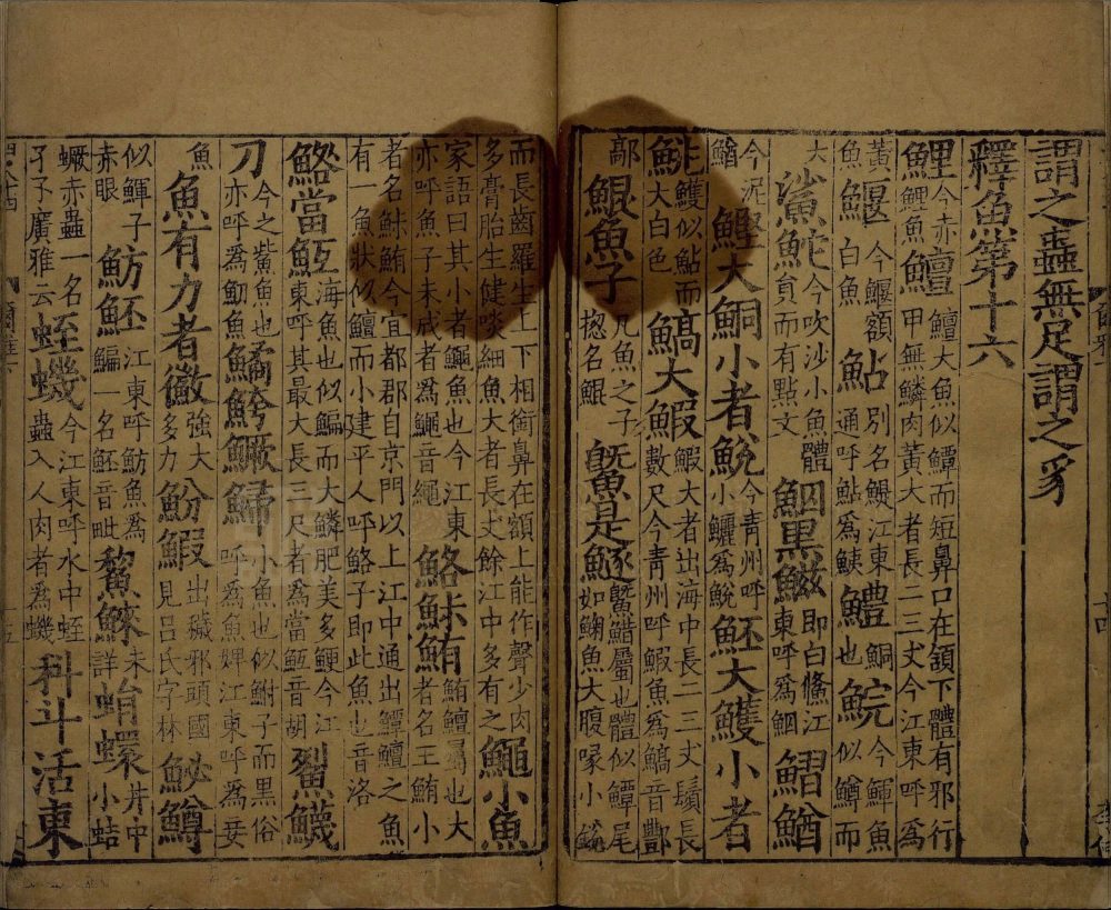 图片[4]-尔雅-天天向上