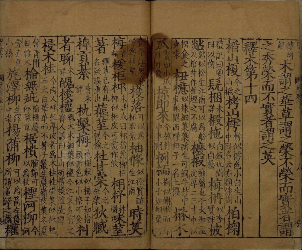 图片[6]-尔雅-天天向上