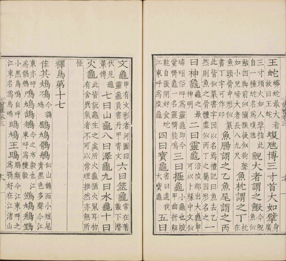 图片[4]-尔雅-天天向上