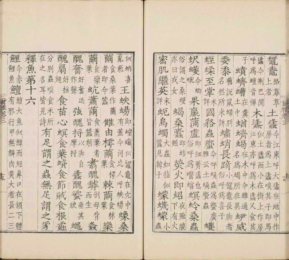 图片[5]-尔雅-天天向上