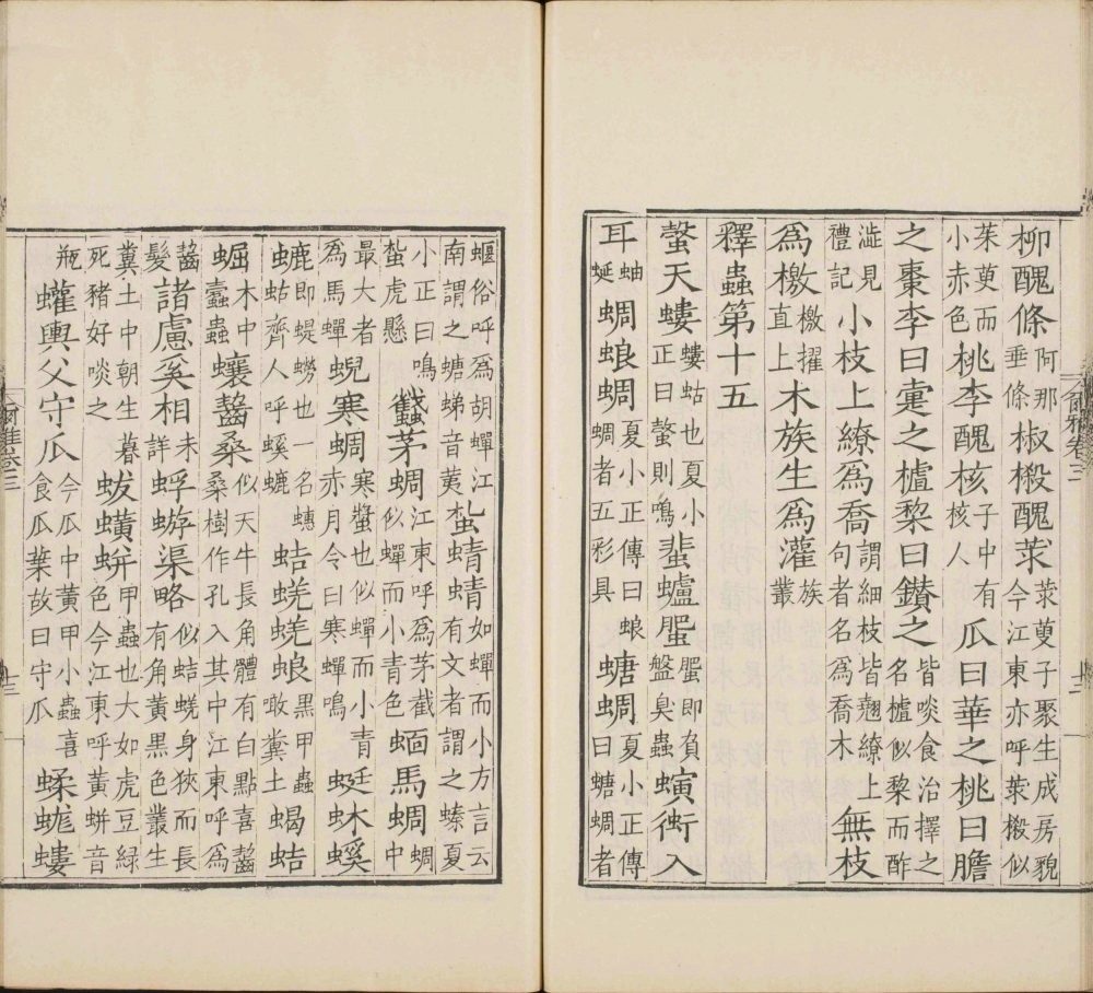 图片[6]-尔雅-天天向上