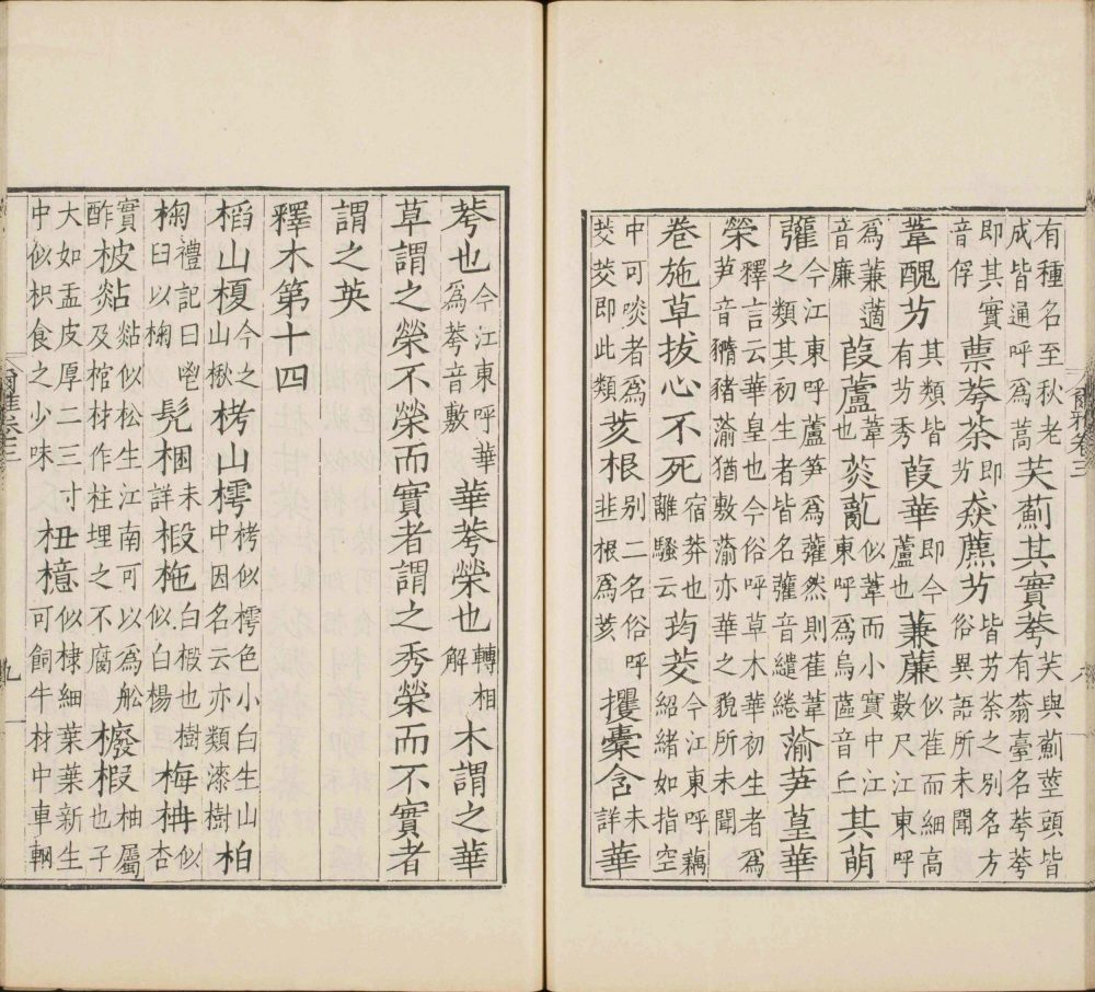 图片[7]-尔雅-天天向上