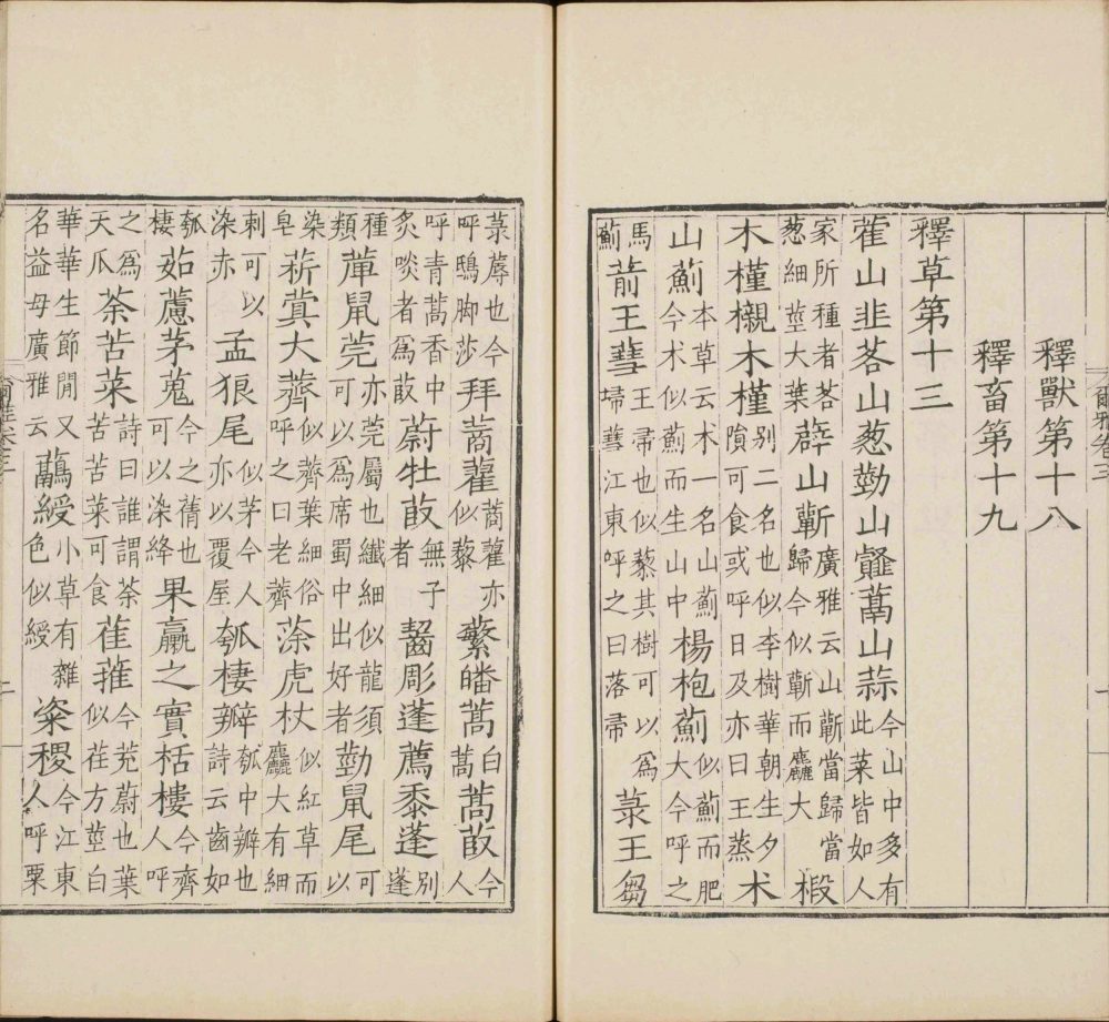 图片[8]-尔雅-天天向上