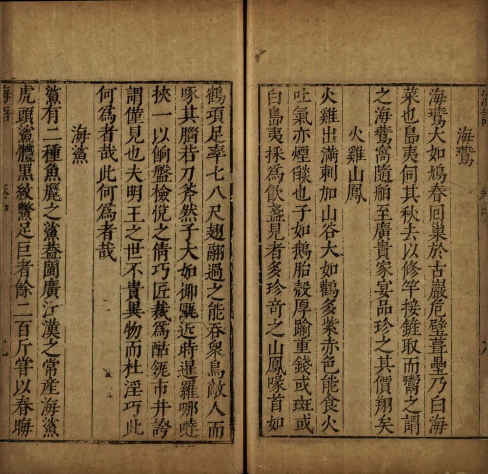图片[9]-海语-天天向上