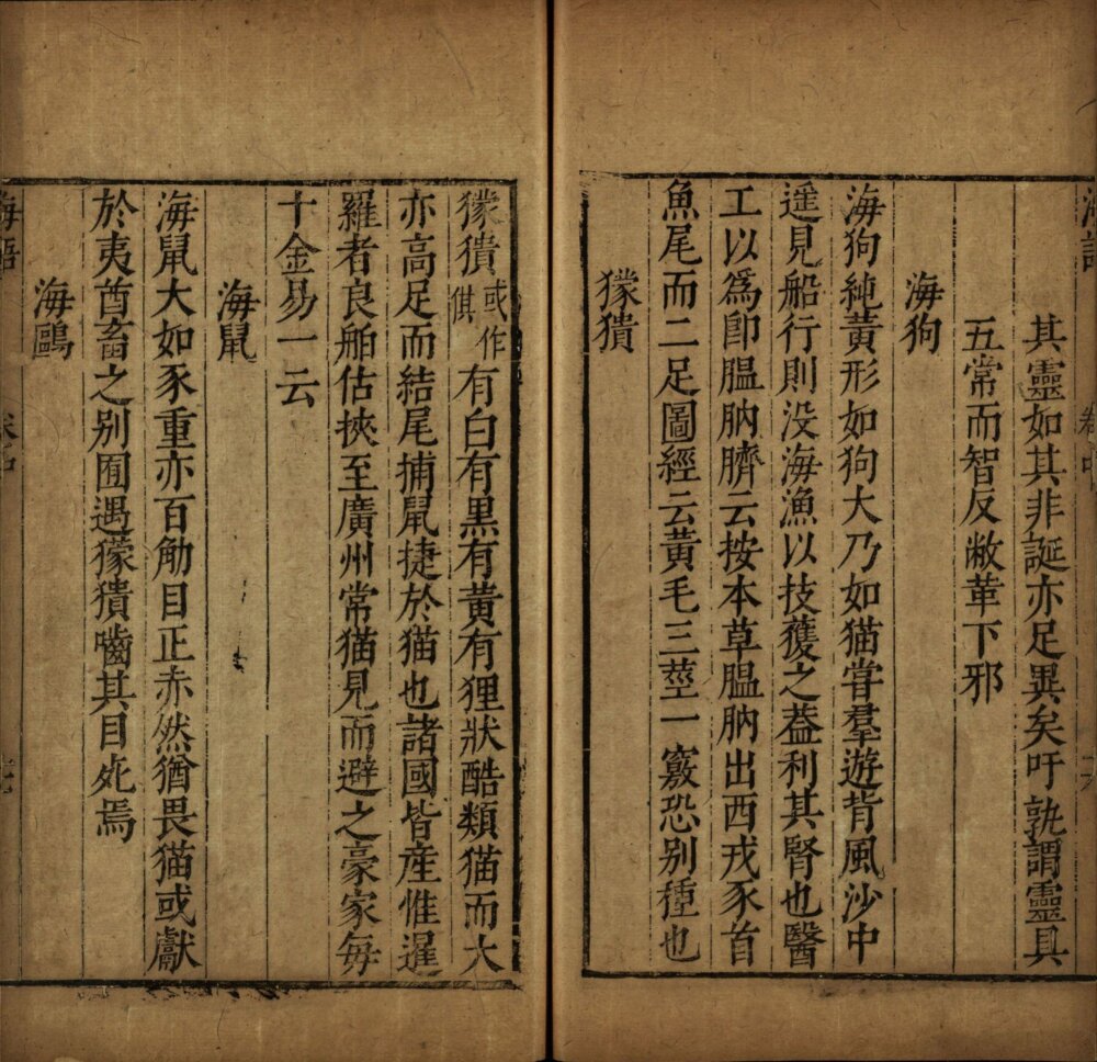 图片[10]-海语-天天向上