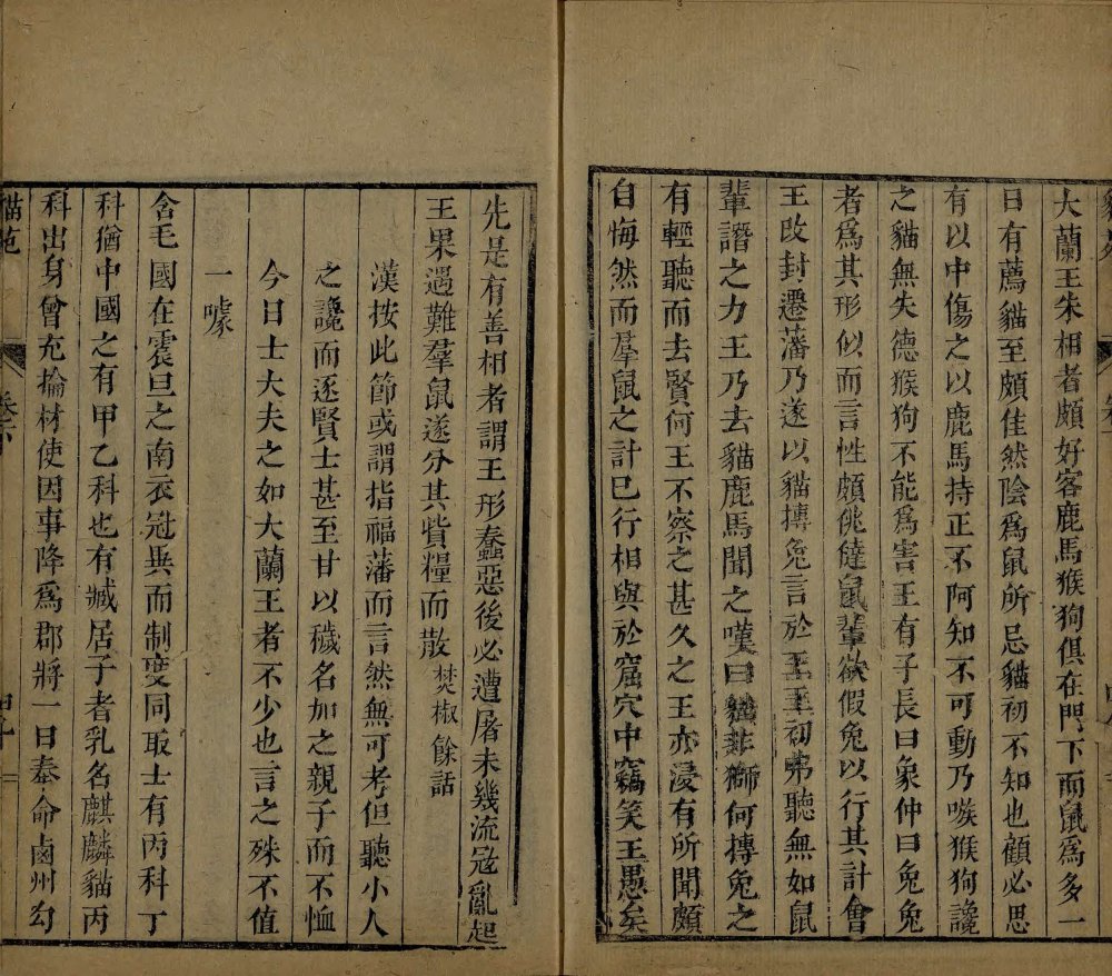 图片[2]-猫苑-天天向上