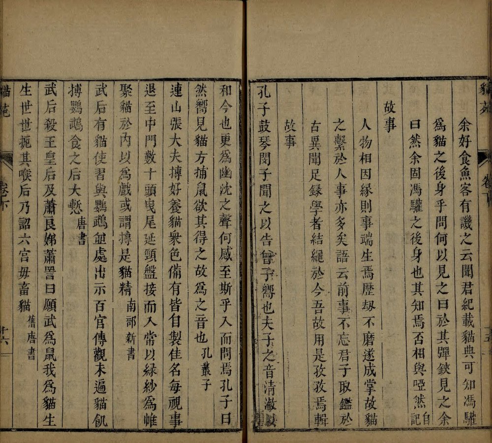 图片[8]-猫苑-天天向上