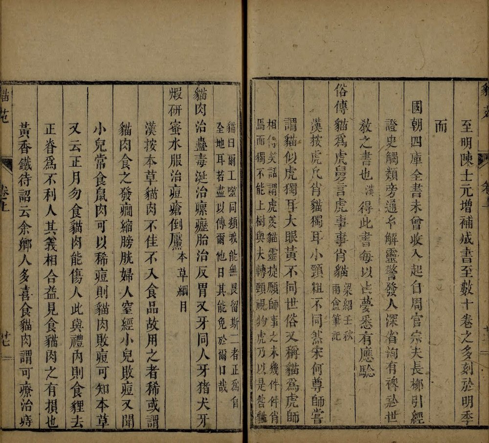 图片[11]-猫苑-天天向上