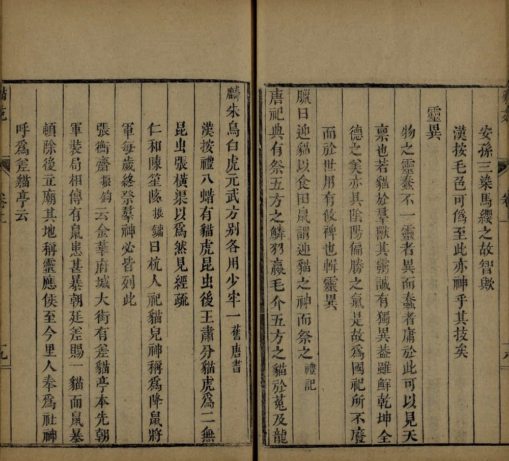 图片[12]-猫苑-天天向上
