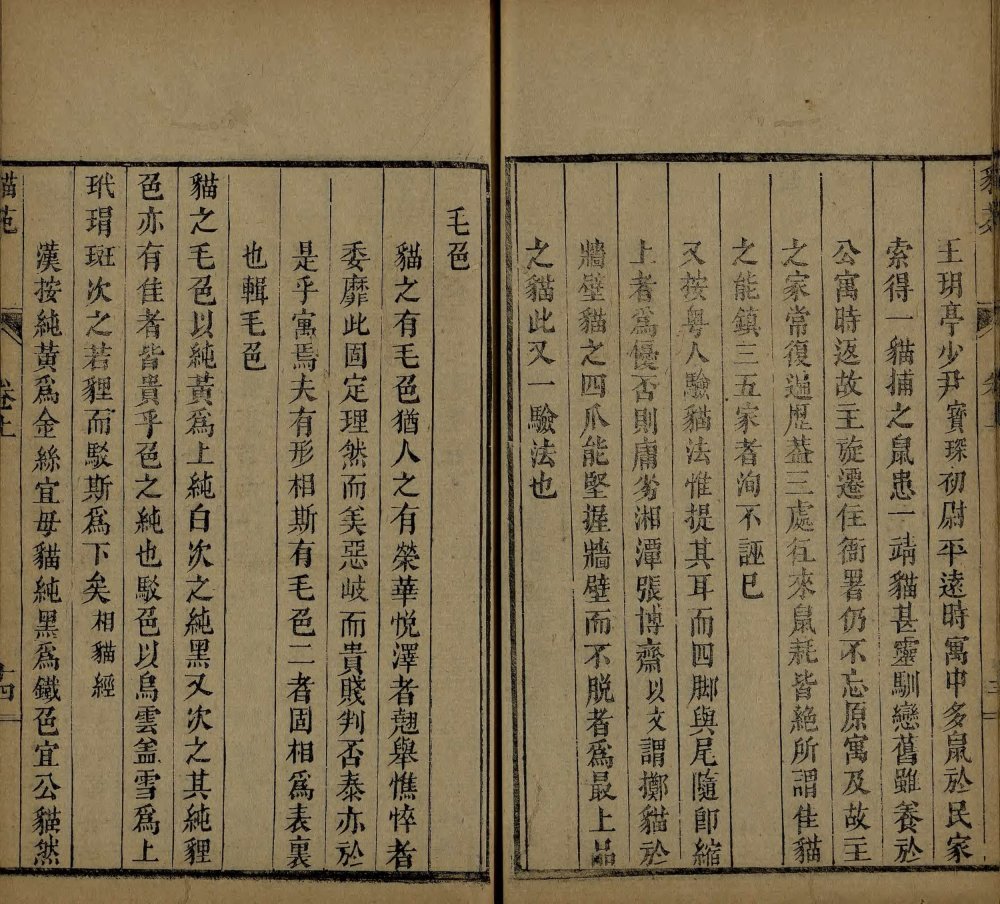 图片[13]-猫苑-天天向上