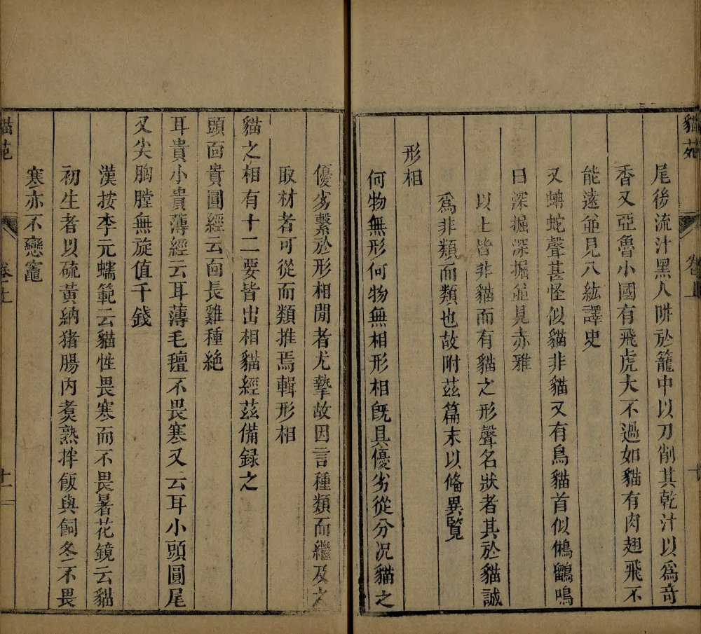 图片[14]-猫苑-天天向上