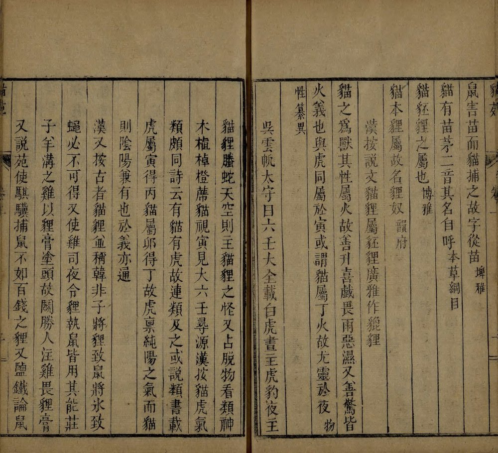 图片[15]-猫苑-天天向上