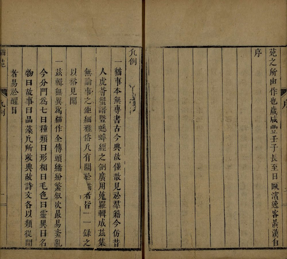 图片[17]-猫苑-天天向上