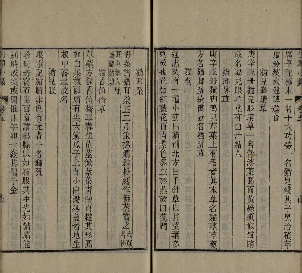 图片[11]-衔蝉小录-天天向上