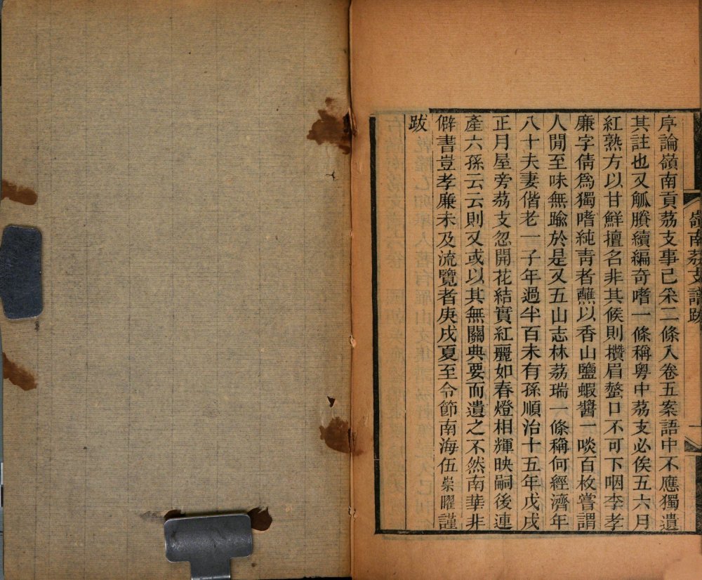 图片[1]-岭南荔支谱-天天向上