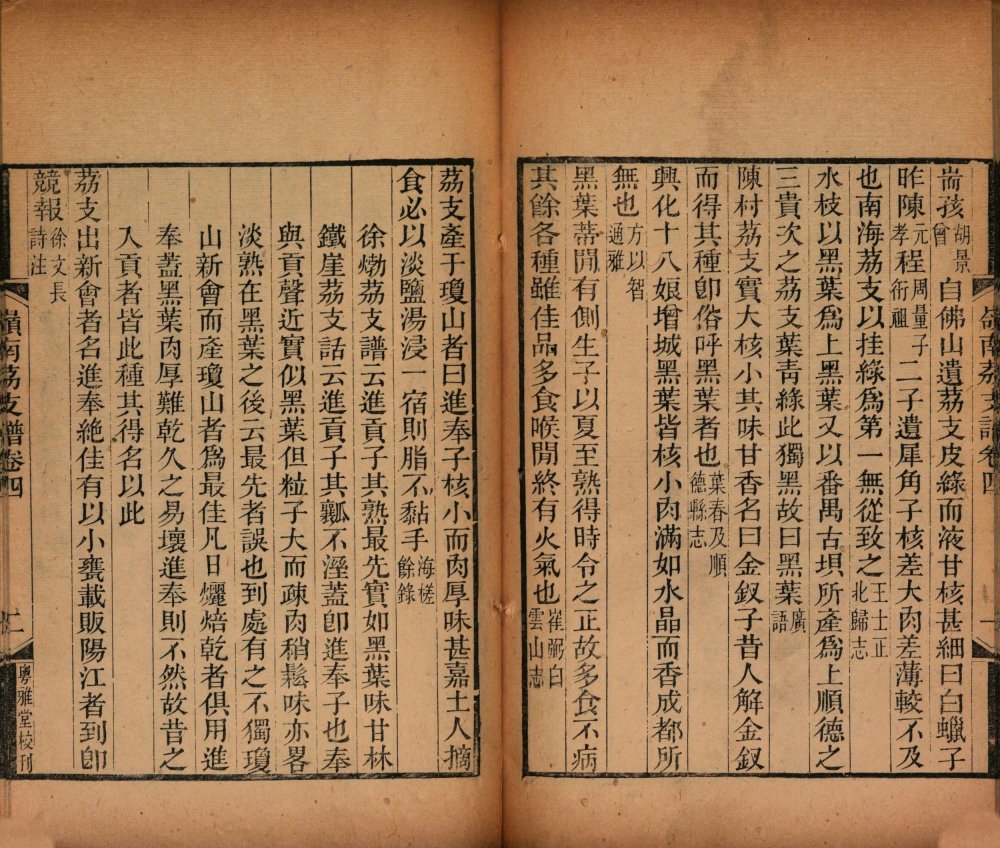 图片[10]-岭南荔支谱-天天向上