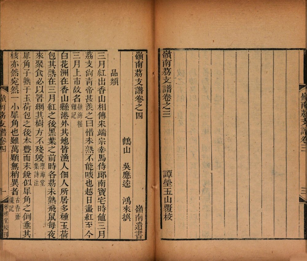 图片[11]-岭南荔支谱-天天向上