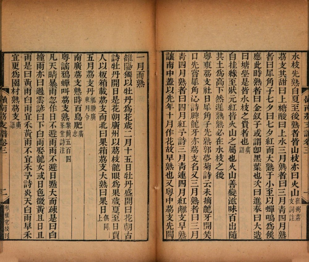 图片[12]-岭南荔支谱-天天向上