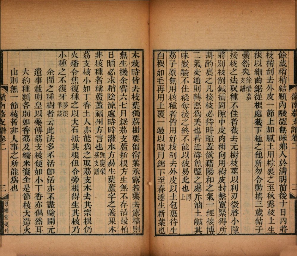 图片[14]-岭南荔支谱-天天向上