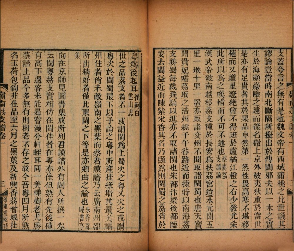 图片[17]-岭南荔支谱-天天向上