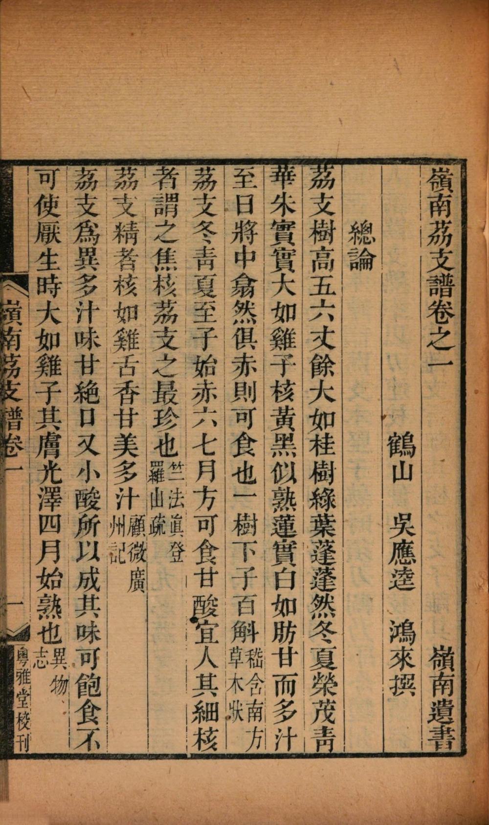 岭南荔支谱-天天向上
