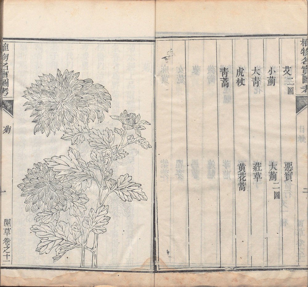 图片[10]-植物名实图考-天天向上