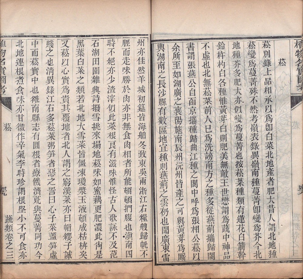 图片[15]-植物名实图考-天天向上