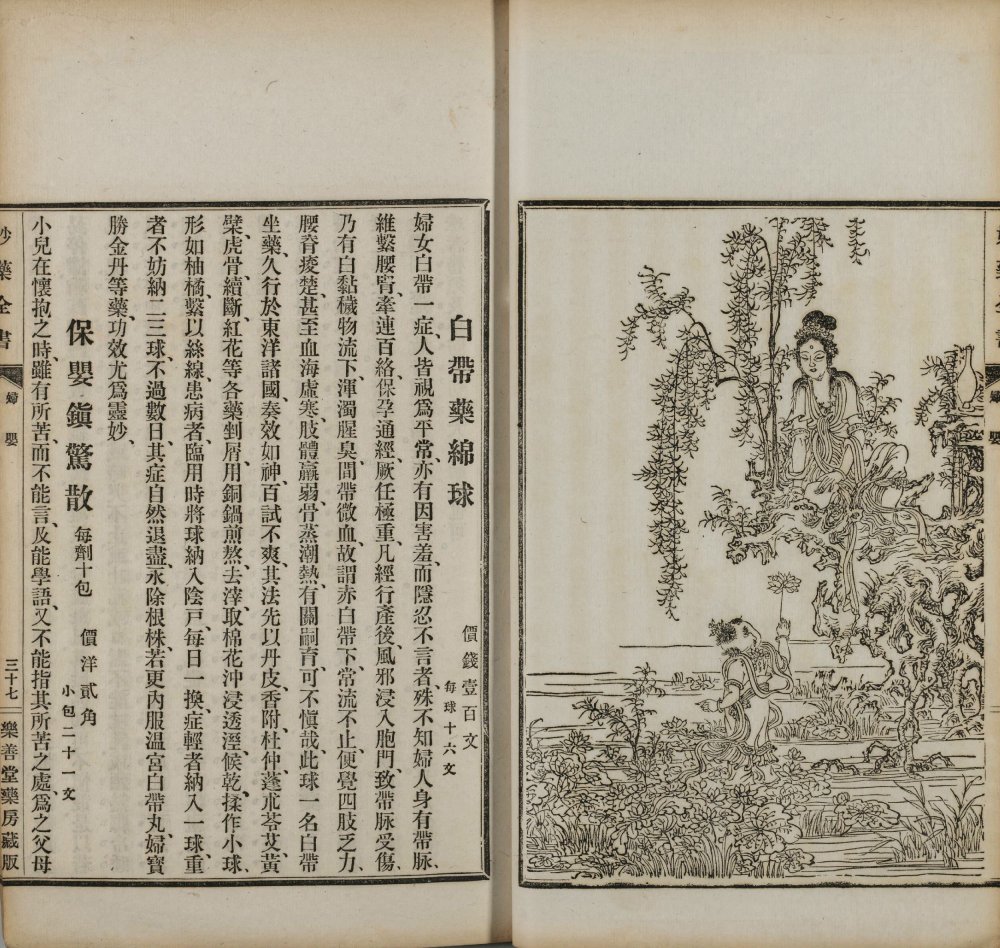 图片[12]-卫生宝函（妙药全书）-天天向上